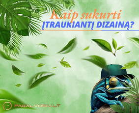 Soc. tinklų administravimas - Facebook, Instagram, Linkedin / Pagalvosiu.lt / Darbų pavyzdys ID 3603199