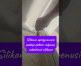 V1p Diamond Clean, Mb. Visos Valymo Paslaugos / V1P Diamond Clean, MB / Darbų pavyzdys ID 3603337