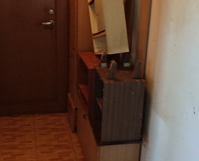 Pigus Šiukšlių Išvežimas Kaina Nuo 12€/m3 / Artur Seniut / Darbų pavyzdys ID 3604627