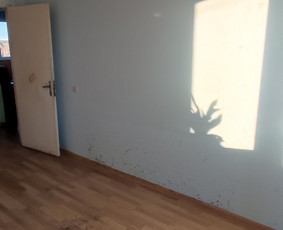 Pigus Šiukšlių Išvežimas Kaina Nuo 12€/m3 / Artur Seniut / Darbų pavyzdys ID 3604679