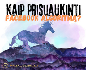 Soc. tinklų administravimas - Facebook, Instagram, Linkedin / Pagalvosiu.lt / Darbų pavyzdys ID 3605383
