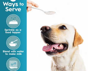 Reklama, dizainas, spauda - Išskirtiniam verslui - išskirtinis dizainas! - 3