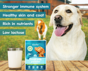 Reklama, dizainas, spauda - Išskirtiniam verslui - išskirtinis dizainas! - 2