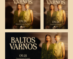 Grafikos dizaino paslaugos - baneriai, maketai, ux/ui - Banerių kūrimas - 3 Banerių kūrimas - Grafikos dizaino paslaugos - baneriai, maketai, ux/ui - 3
