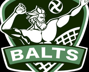 Logotipas, baneris, maketavimas, pakuotės, foto siena, brand - Logotipų kūrimas - 2 Logotipų kūrimas - Logotipas, baneris, maketavimas, pakuotės, foto siena, brand - 2