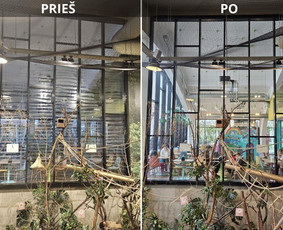 Komercinių patalpų valymas - V1p Diamond Clean, Mb Visos Valymo Paslaugos - 2