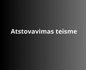 Advokato dr. E. Bakanausko teisinės paslaugos - Paslaugos verslui - 2 Paslaugos verslui - Advokato dr. E. Bakanausko teisinės paslaugos - 2