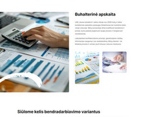 Tinklalapis ir teksto kūrimas buhalterinei įmonei: savasbuhalteris.lt