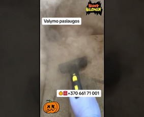Profesionalus Valymas Jūsų Patogumui S&s / Spick&Span / Darbų pavyzdys ID 3611923