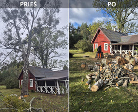 Medžių pjovimas, genėjimas. Aplinkos,miškų priežiūra / MB "Miškų Vilkai" / Darbų pavyzdys ID 3612315
