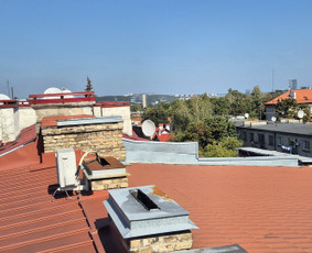 Medžių pjovimas, genėjimas. Aplinkos,miškų priežiūra / MB "Miškų Vilkai" / Darbų pavyzdys ID 3612319