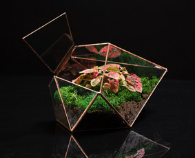Florariumai, terariumai, vitražai, įvairūs stiklo dirbiniai - Vitražai, stiklo interjero detalės - 3 Vitražai, stiklo interjero detalės - Florariumai, terariumai, vitražai, įvairūs stiklo dirbiniai - 3