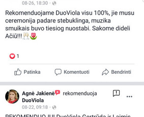 Renginių vedėjai / Styginių duetas / Laimis Krunglevičius / Darbų pavyzdys ID 725579