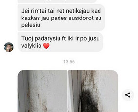 Pelėsio Ir Jo Grybo Naikinimo Paslaugos - Pelėsio naikinimas - 3 Pelėsio naikinimas - Pelėsio Ir Jo Grybo Naikinimo Paslaugos - 3