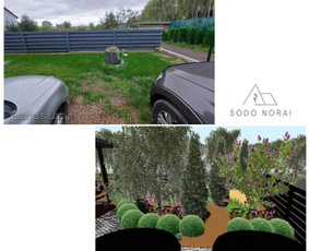 Apželdinimo projektai, augalų planai- privačiam sklypui / SODO NORAI / Darbų pavyzdys ID 3613405