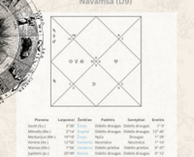 Būrimas Lenormand Kortomis ir Vedų Astrologija / Gyvenimo kelias / Darbų pavyzdys ID 3613927