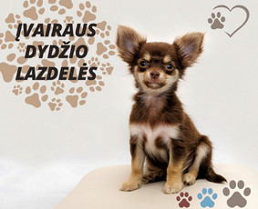 Soc. tinklų administravimas - Facebook, Instagram, Linkedin / Pagalvosiu.lt / Darbų pavyzdys ID 3615625