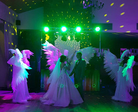 Šokėjų kolektyvas Leila Dance / Renata Leila / Darbų pavyzdys ID 727221