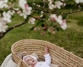 Fotografijos paslaugos / Aistė Špokė - šeimos fotografė / Darbų pavyzdys ID 3617113