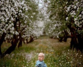Fotografijos paslaugos / Aistė Špokė - šeimos fotografė / Darbų pavyzdys ID 3617143
