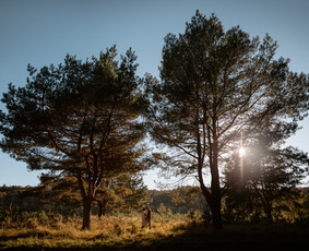 Fotografijos paslaugos / Aistė Špokė - šeimos fotografė / Darbų pavyzdys ID 3617161