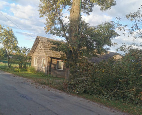 Avarinių medžių pjovimo paslaugos. / Rimas. M.- (Aboristas) / Darbų pavyzdys ID 3617687