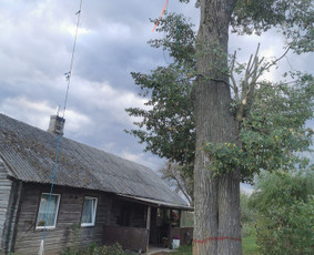 Avarinių medžių pjovimo paslaugos. / Rimas. M.- (Aboristas) / Darbų pavyzdys ID 3617689