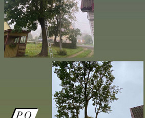 Avarinių medžių pjovimo paslaugos. / Rimas. M.- (Aboristas) / Darbų pavyzdys ID 3617713