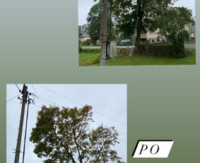 Avarinių medžių pjovimo paslaugos. / Rimas. M.- (Aboristas) / Darbų pavyzdys ID 3617719
