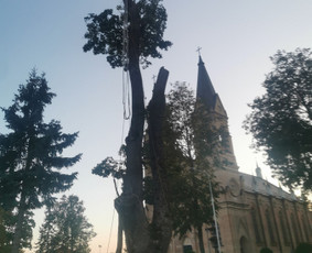 Avarinių medžių pjovimo paslaugos. / Rimas. M.- (Aboristas) / Darbų pavyzdys ID 3617733