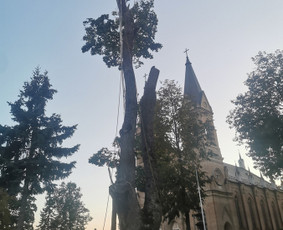 Avarinių medžių pjovimo paslaugos. / Rimas. M.- (Aboristas) / Darbų pavyzdys ID 3617735
