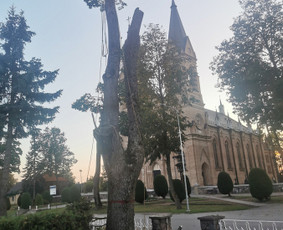 Avarinių medžių pjovimo paslaugos. / Rimas. M.- (Aboristas) / Darbų pavyzdys ID 3617737