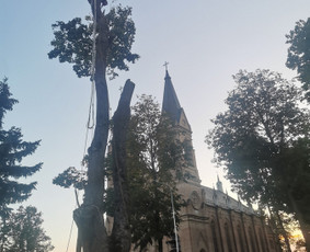 Avarinių medžių pjovimo paslaugos. / Rimas. M.- (Aboristas) / Darbų pavyzdys ID 3617743