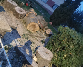 Avarinių medžių pjovimo paslaugos. / Rimas. M.- (Aboristas) / Darbų pavyzdys ID 3617759