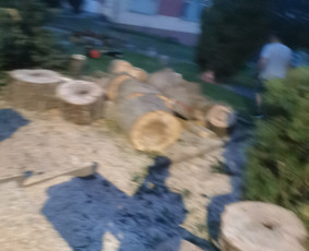 Avarinių medžių pjovimo paslaugos. / Rimas. M.- (Aboristas) / Darbų pavyzdys ID 3617763