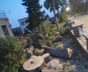 Avarinių medžių pjovimo paslaugos. / Rimas. M.- (Aboristas) / Darbų pavyzdys ID 3617765
