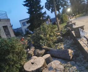 Avarinių medžių pjovimo paslaugos. / Rimas. M.- (Aboristas) / Darbų pavyzdys ID 3617767