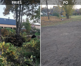 Avarinių medžių pjovimo paslaugos. - Apleistų sklypų tvarkymas - 1 Apleistų sklypų tvarkymas - Avarinių medžių pjovimo paslaugos. - 1