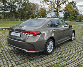Automobilių nuoma (trumpalaikė, ilgalaikė ir su vairuotoju). / MB Vitarent / Darbų pavyzdys ID 3617829