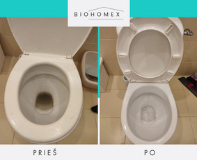 Ekologinis valymas / BioHomEx / Darbų pavyzdys ID 3617925
