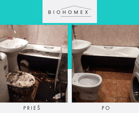 Ekologinis valymas / BioHomEx / Darbų pavyzdys ID 3617931