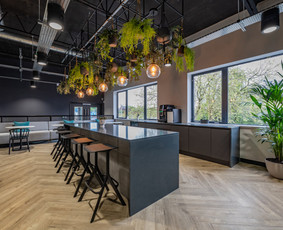 Profesionali vidaus apdaila ir statybos sprendimai - Vidaus apdailos darbai - 4 Vidaus apdailos darbai - Profesionali vidaus apdaila ir statybos sprendimai - 4