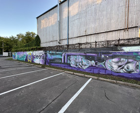 Graffiti, street art, mural art. / Rinalds Vanadzins / Darbų pavyzdys ID 3619151