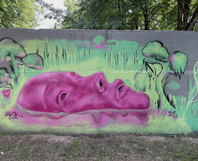 Graffiti, street art, mural art. / Rinalds Vanadzins / Darbų pavyzdys ID 3619219