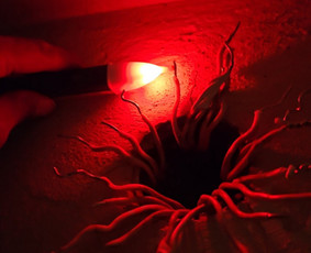 Elektriko Paslaugos - Skubus elektriko iškvietimas - 1 Skubus elektriko iškvietimas - Elektriko Paslaugos - 1