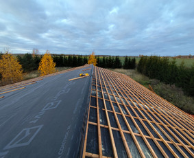 Stogdengiai. Stogo dengimas / Uab Algio stogai / Darbų pavyzdys ID 3619341