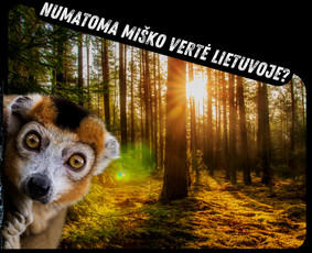 Soc. tinklų administravimas - Facebook, Instagram, Linkedin / Pagalvosiu.lt / Darbų pavyzdys ID 3620277