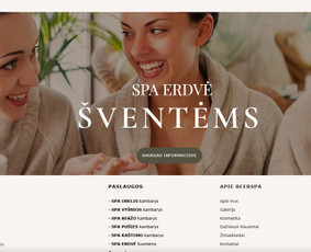 #1 Internetinių Svetainių ir Parduotuvių Kūrimas (seo/ads) / Svetainių kūrimas ir reklama / Darbų pavyzdys ID 3620535