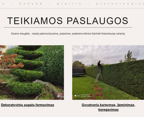 #1 Internetinių Svetainių ir Parduotuvių Kūrimas (seo/ads) / Svetainių kūrimas ir reklama / Darbų pavyzdys ID 3620545