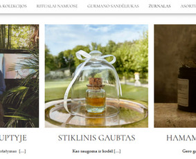 #1 Internetinių Svetainių ir Parduotuvių Kūrimas (seo/ads) / Svetainių kūrimas ir reklama / Darbų pavyzdys ID 3620563